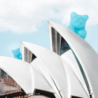 The blue bears have landed!
