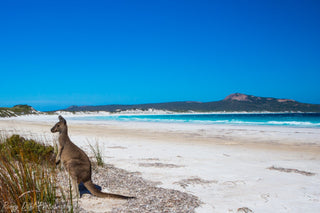 #8: Our favourite off-the-track beaches